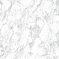 LAMFF00525_IT I Naturali Arabescato Lucidato 12+ 1620x3240 Laminam