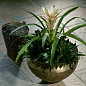 Сланец Kerama Marazzi