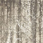 fQWO Ylico Wood Fog 120x278 FAP Ceramiche