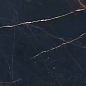 PF60011003 Precious Black Lux Ret 60x120 ABK