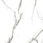 R_NR2001 Alps Statuario Matt 60x120 Royce