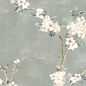 RA1N Mixed Verde Decoro Fiori di Pesco A Rett. 40x120 Ragno Marazzi