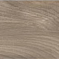 AB 1065W Barma Teak 1200x200 Absolut Gres
