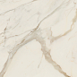 AGCJ Golden White Luc 120x278 Caesar фото в миниатюре 3