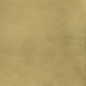 610015000645 Continuum Brass Gold Lap 80x160 Italon