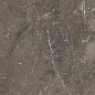 774851 Heritage Brown Glossy 6mm 60x120 Rex Ceramiche