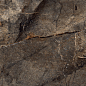 Arizona Green 120x60 Bluezone