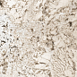 774903 Nature Mood Glacier Glossy Ret 6mm 60x120 Casa Dolce Casa