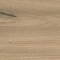 AX52 Log Moon Oak Forest Matte 20x180 Atlas Concorde