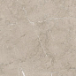 8215 Vision 33.3x80 Porcelanite Dos
