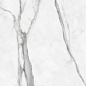 11-011-2 Da Vinci White Lux 60x120 Azteca