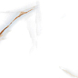 P76295 Barcelon Polished 60x120 Pardis Ceramic Pazh