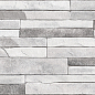 TWU2550DCV17 Discover рельефная 249x500x8 Alma Ceramica (Уралкерамика)