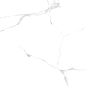 Silver white PGVT 60x60 Casati Ceramica