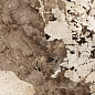 1278FD18 Milan Brown Glossy 6 mm 120x278 FMAX фото в миниатюре