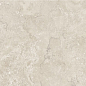 NTT9453M Zeus Taupe Mat 60x120 NT Ceramic фото в миниатюре 4