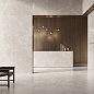 141142 Mythology Regia Silver Brushed Rect 60x120 Monocibec