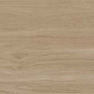Alessandria Arce 19.5x120 Prissmacer