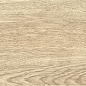 GP1560TAN01 Tanzania Crema матовый 151x602 New Trend