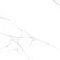 ENMAR4001CR60120 Arizona Carving 120x60x0.9 Ennface