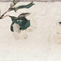 PT02551 Esenzia Fabola Green Mix 15x30 Mainzu