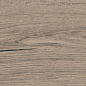 39081 Jackson Taupe/24X151X0,9/R 24x151 Peronda фото в миниатюре 4
