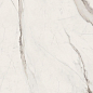 G67580 Statuario White Lux R 60x120 Versace (Gardenia Orchidea) фото в миниатюре 3