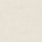 100348029 Terra Bone 120x120 Porcelanosa