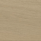 A8YE Entice Ash Oak Elegant R9 18,5x150 Atlas Concorde