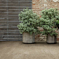 Sensi by Thun Casa Dolce Casa