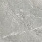 D60259M Wild Light матовый 600x600x9.5 New Trend
