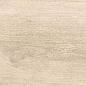 Dixie Almond 20x120 Geotiles