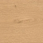 A841 Entice Pale Oak Natural R10 20x120 Atlas Concorde