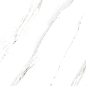 885 Calacatta Caldia 120x60 Artcer