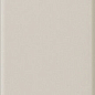 Plinto Greige Matt 10.7x54.2 DNA Tiles