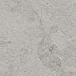KM6060G1231R8ALT Подступенок Сплит серый светлый матовый обрезной 60x14,5x0,8 Kerama Marazzi фото в миниатюре 4