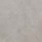 GT1206017701MR Cassini Серый матовый 60x120 Global Tile