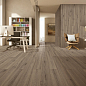 Eternity Choco Matt 20х120 Ocean-Ceramic