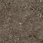 768353 Sensi Brown Fossil Ret 40x80 Casa Dolce Casa