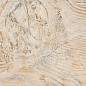 AB 1104W Forest Essenze Beige 1200x200 Absolut Gres