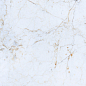PR116 Namibian Marble Polished 600x600 PrimaVera