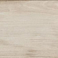 GOA NATURAL Ret. 23x120 Alaplana Ceramica