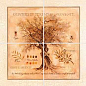 25.8(423) Декор Herbarium 4 из 4х плиток 20x20 Factoria