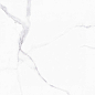 ALSACIA 60x60 Cicogres