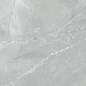 6060AMB15P Armani Marble Gray 60x60 LCM