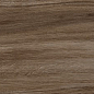 GFA92SNR44R Sanray 200x900x9 Alma Ceramica (Уралкерамика)