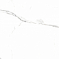 PR207 Salvatore Polished 600x1200 PrimaVera
