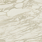 AENU Marvel Royal Calacatta Lappato 120x240 Atlas Concorde