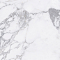 Arabescato Silver Glossy 60x120 Modern Tile