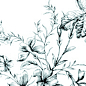 Frunce-4 25x75 VIVES